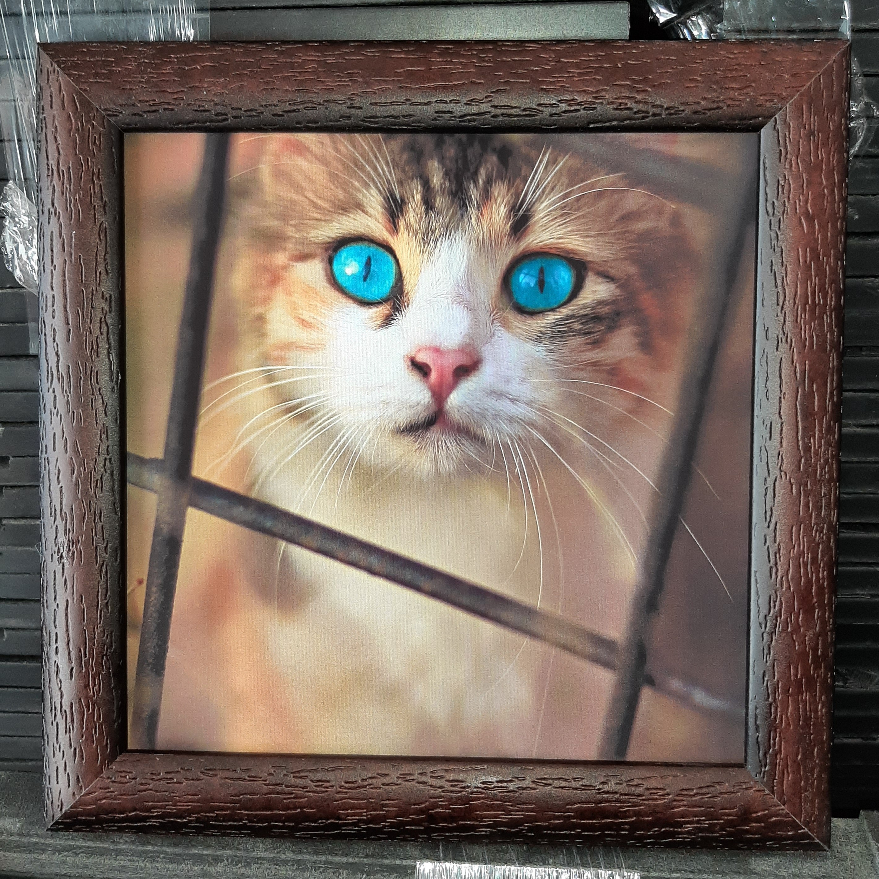 تابلو بک لایت گربه