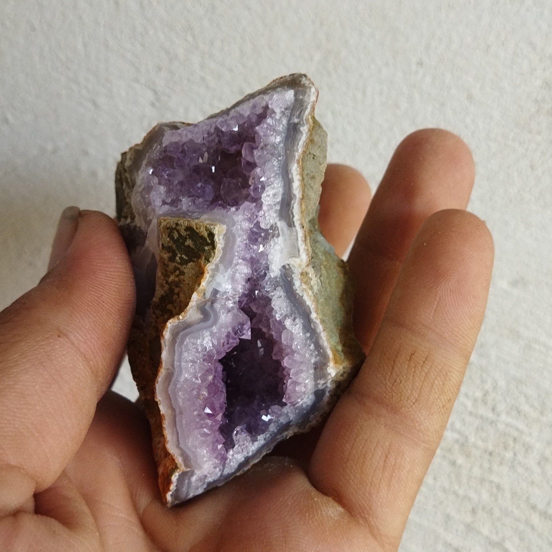 امیتیس راف زیبا