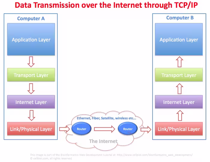 دانلود فایل بررسی پروتکل TCP/IP