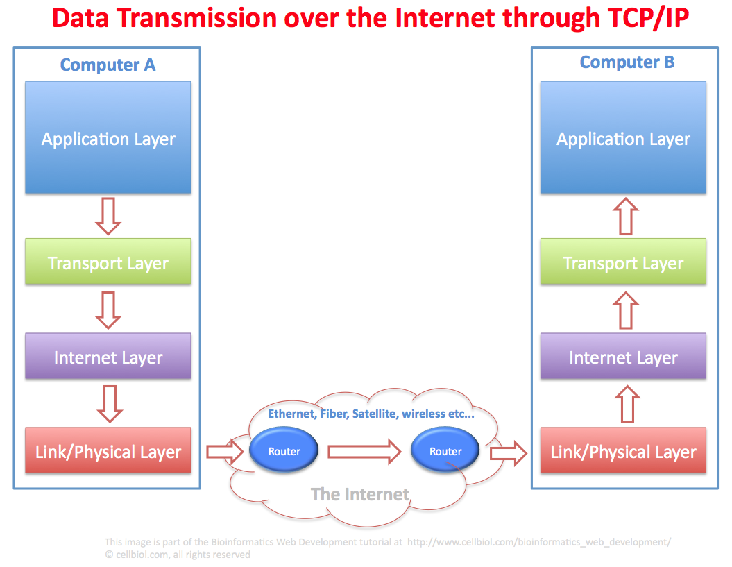 دانلود فایل بررسی پروتکل TCP/IP
