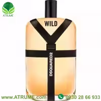 عطر ادکلن دسکوارد2 وایلد 100 میل مردانه