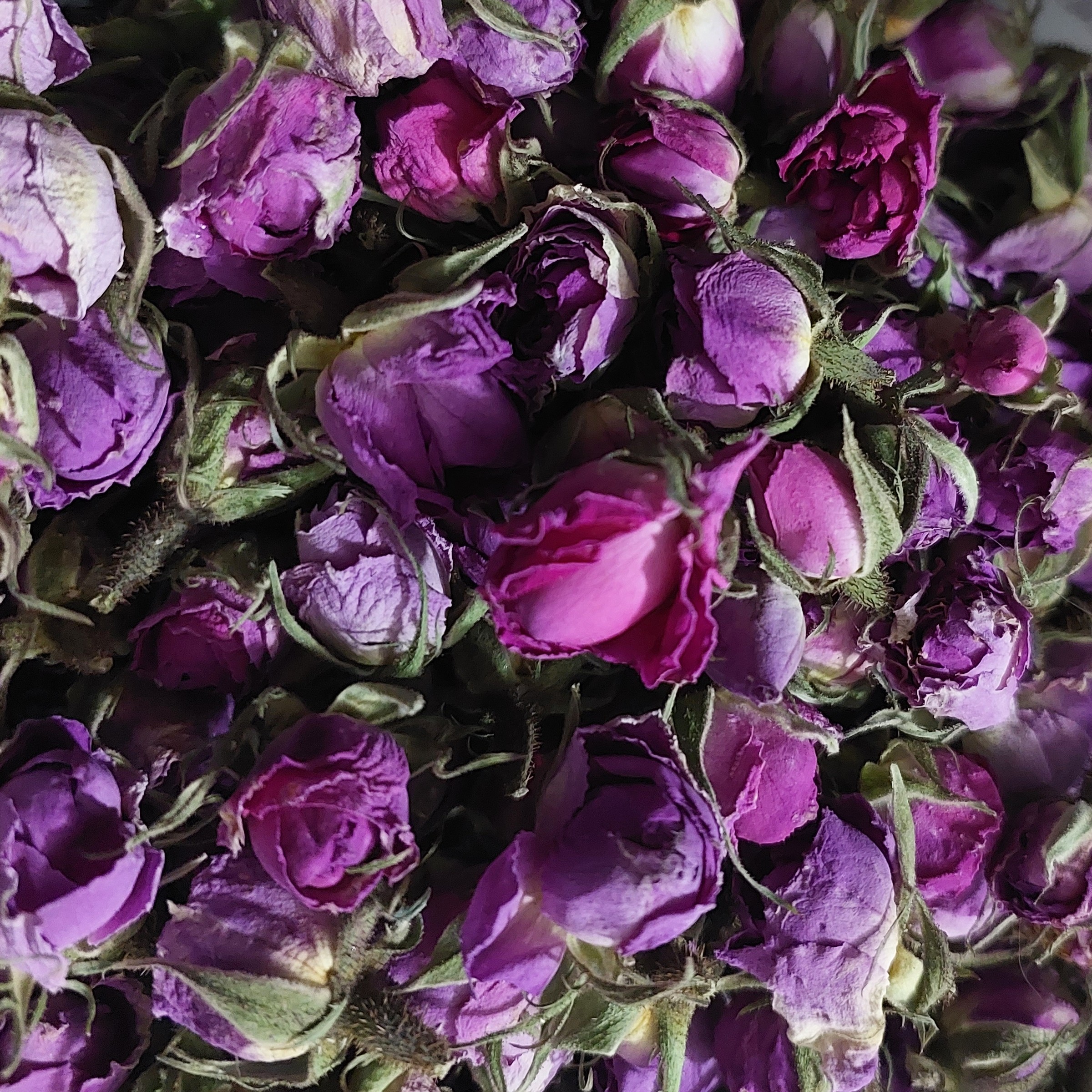 غنچه محمدی (100گرمی)