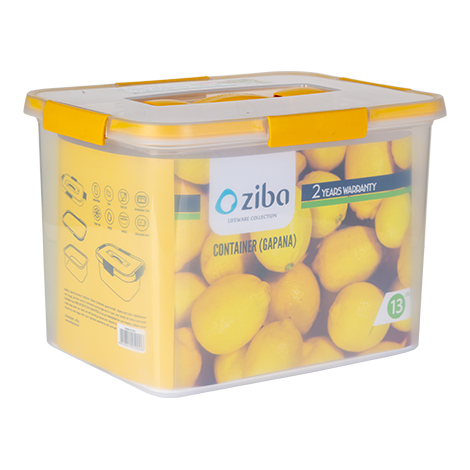 ظرف فریزر مستطیل 13 لیتر گاپانا زیبا