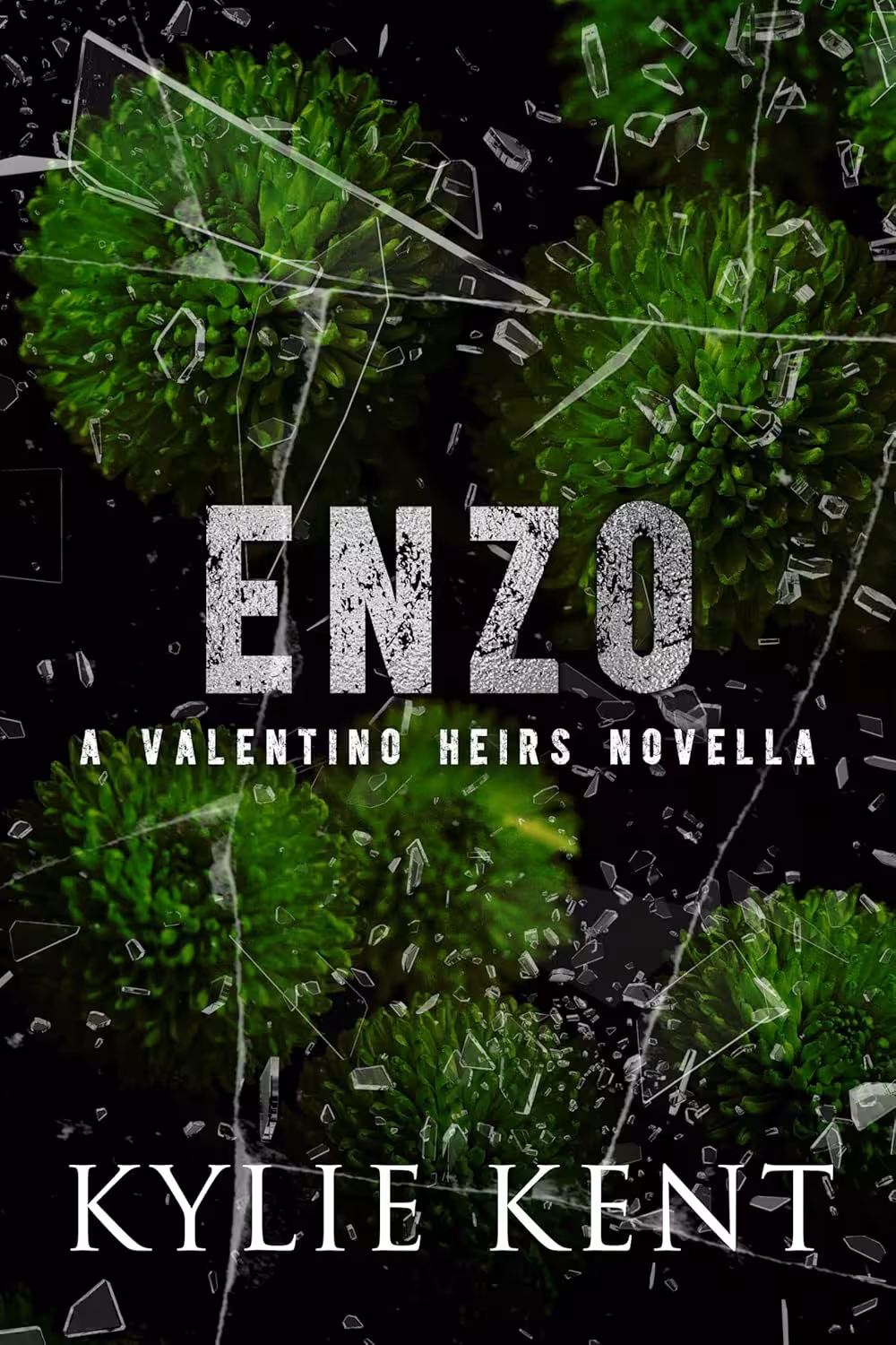 Enzo (A Valentino Heirs Novella Book 5)