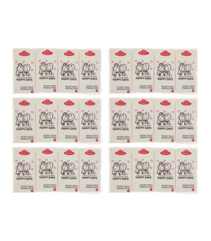 دستمال جیبی 10 برگ گلریز مدل Happy Days بسته 24 عددی