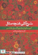 قیمت و خرید کتاب سرخ گلی غنچه مثال اثر مرتضی میرهاشمی | ایده بوک