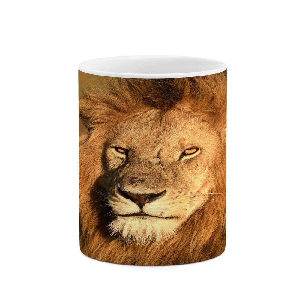 ماگ کاکتی طرح شیر مدل mgs15911