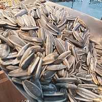 تخمه جوشانده آویشنی