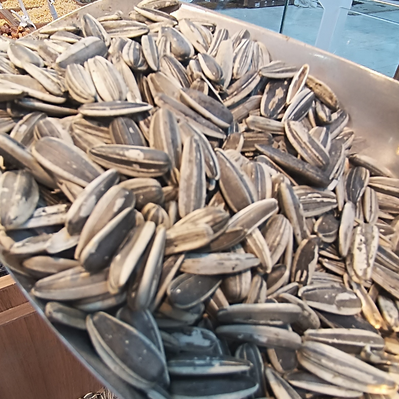 تخمه جوشانده آویشنی