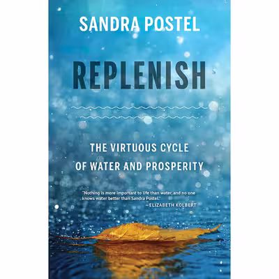 کتاب Replenish اثر Sandra Postel انتشارات Island Press