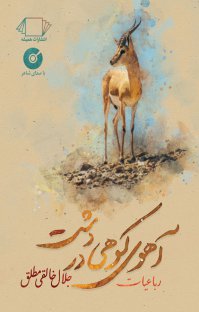 آهوی کوهی در دشت