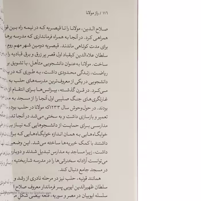 کتاب راز مولانا اثر برد گوچ نشر نگاه
