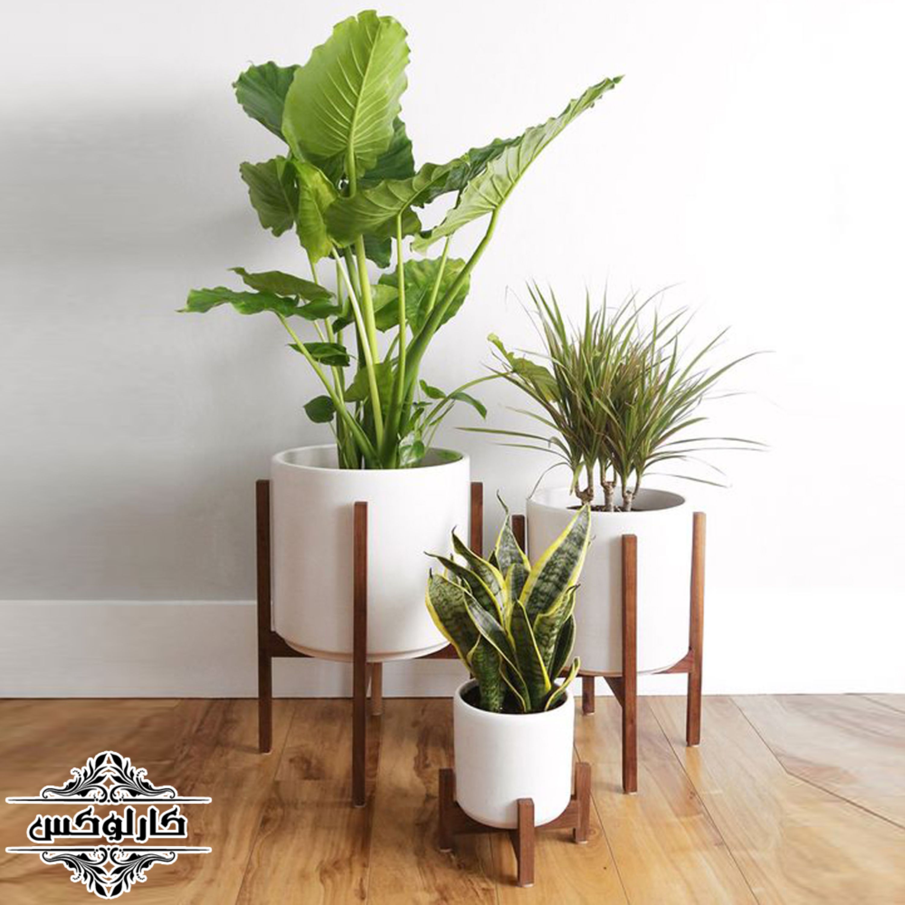 یک عدد استند گلدان چوبی با پایه 30 سانتی