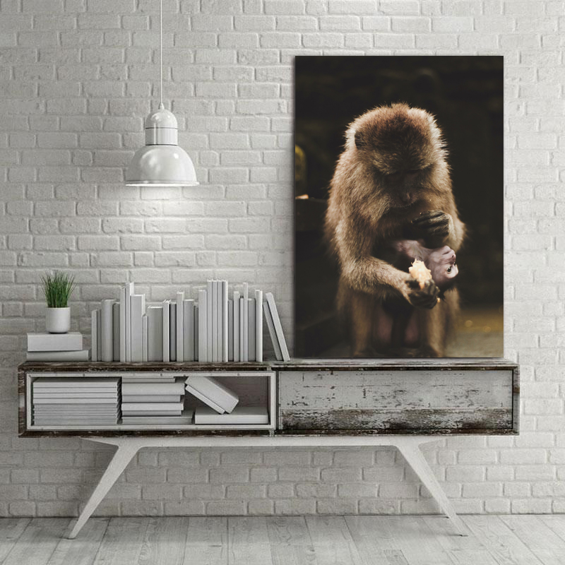 تابلو شاسی طرح حیوانات مدل میمون کد 838