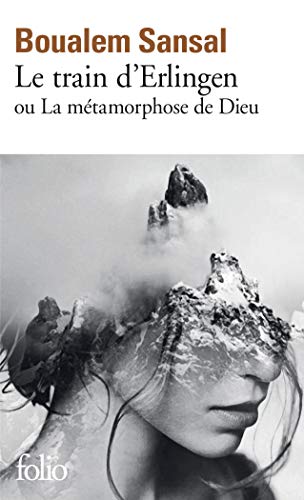 خرید و دانلود نسخه کامل کتاب Le train d'Erlingen ou La métamorphose de Dieu (French Edition) - Pdf