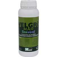 کود جلبک ولگرو مار ماسو اسپانیا