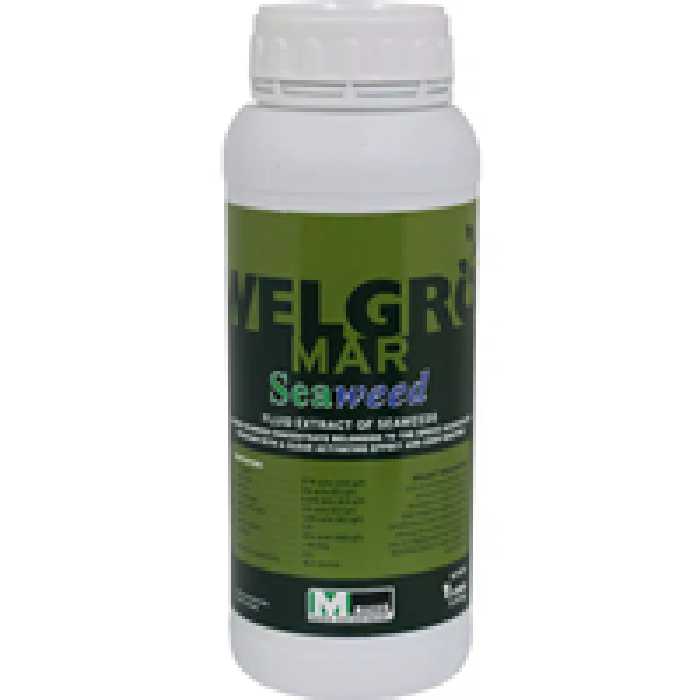 کود جلبک ولگرو مار ماسو اسپانیا