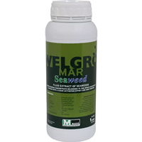 کود جلبک ولگرو مار ماسو اسپانیا