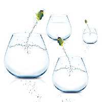 خرید و دانلود عکس Animals-Part-13 - کیفیت بالا | پیک فاکس | Pic Fox