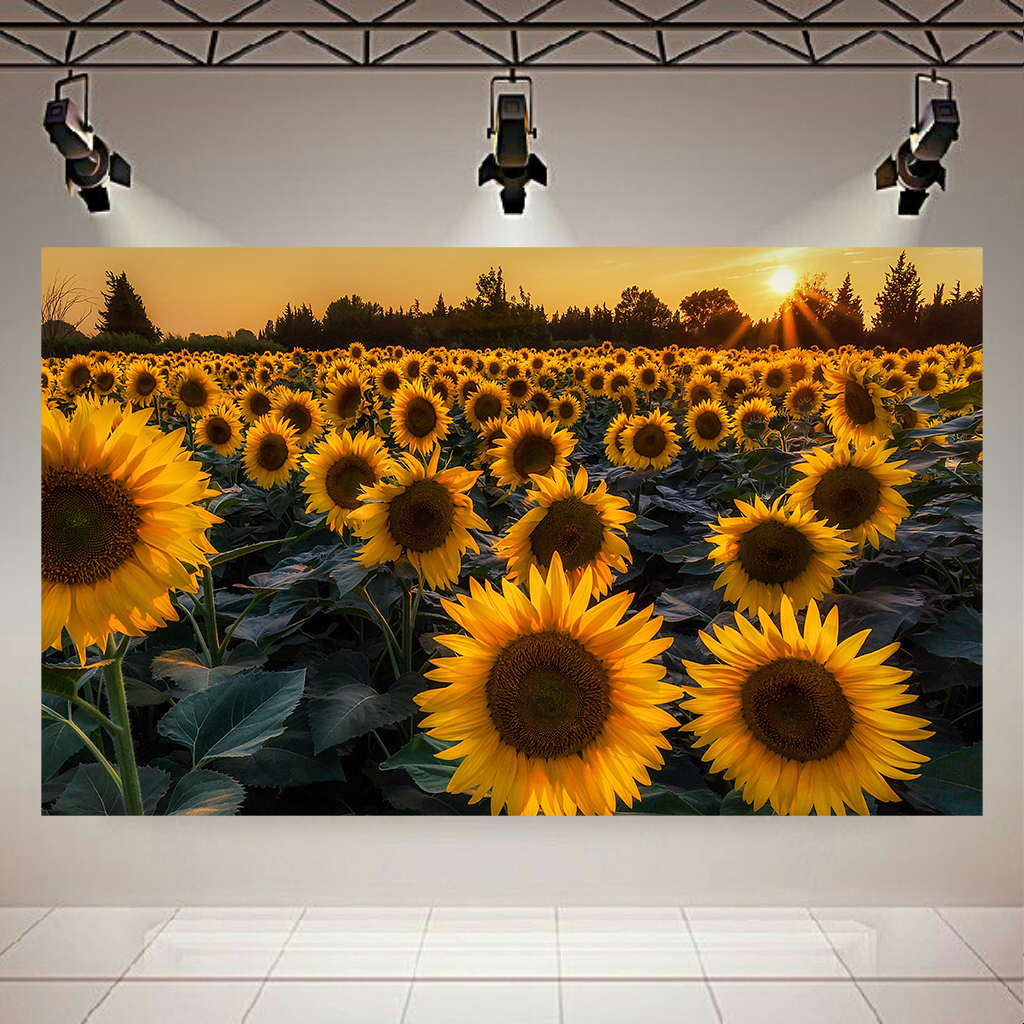 تابلو بوم مدل مزرعه ی گل آفتاب گردان کد AR2011