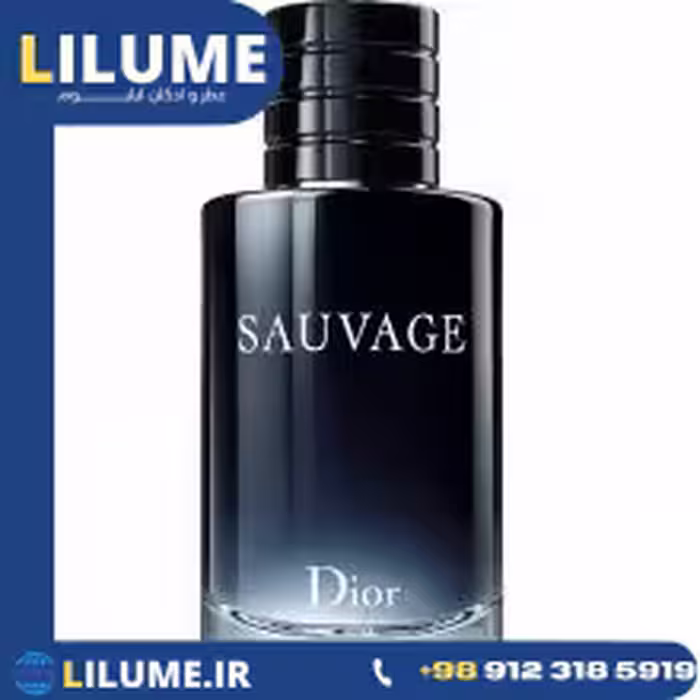 عطر ادکلن دیور ساوج (کریستین دیور ساواج) 100 میل مردانه