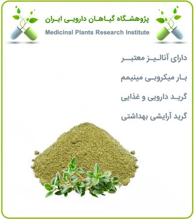 عصاره آویشن شیرازی خشک یا پودری