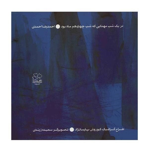 در یک شب مهتابی که شب چهاردهم ماه بود