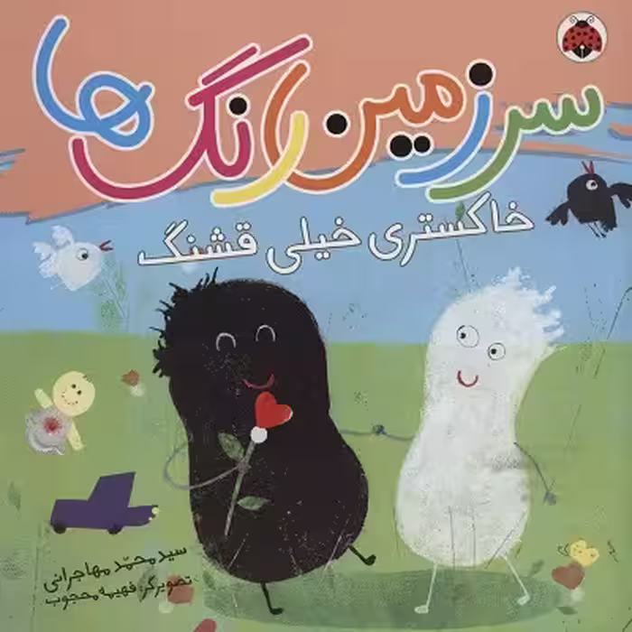 سرزمین رنگ‌ها: خاکستری خیلی قشنگ