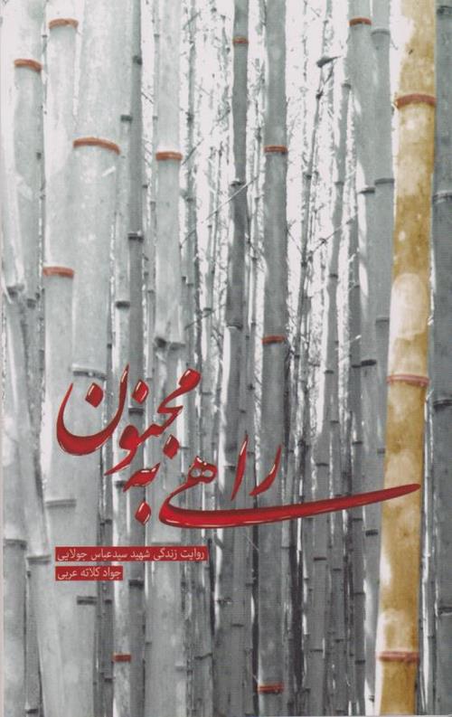 راهی به مجنون