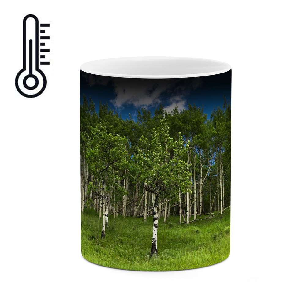 ماگ حرارتی طرح منظره زیبا  مدل mgph13424