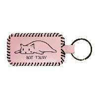 جاکلیدی مدل گربه