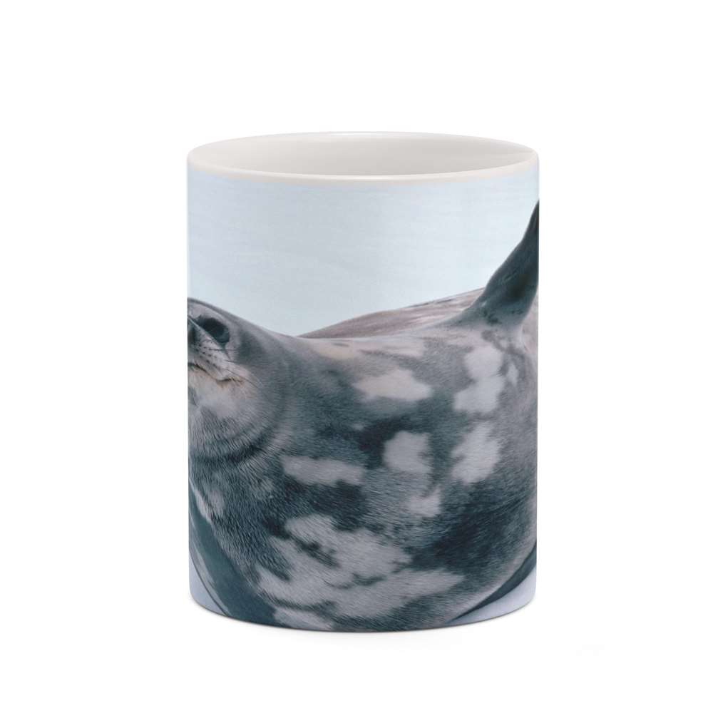 ماگ کاکتی طرح فوک مدل mgh19229