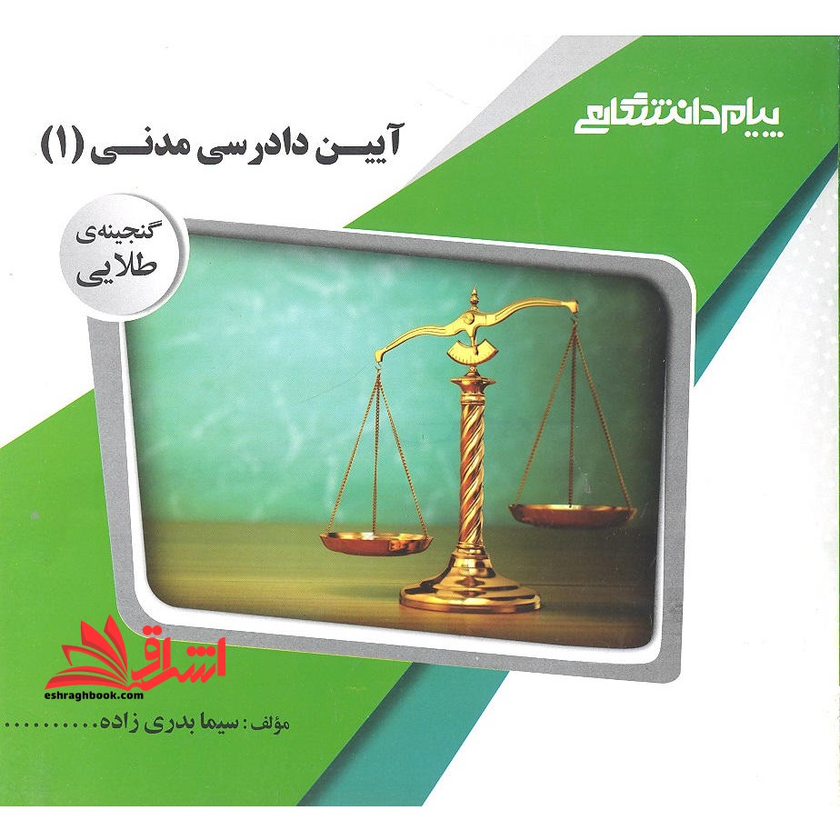 راهنما آیین دادرسی مدنی 1 گنجینه طلایی - فروشگاه کتاب اشراق