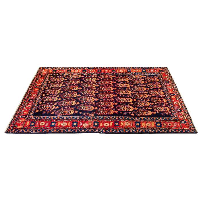 فرش دستبافت سه متری مدل بروجرد کد 48.2324