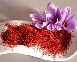 اطلاعات کامل تاثیر دمای محیط بر زعفران - کتابخانه مجازی واتیکان