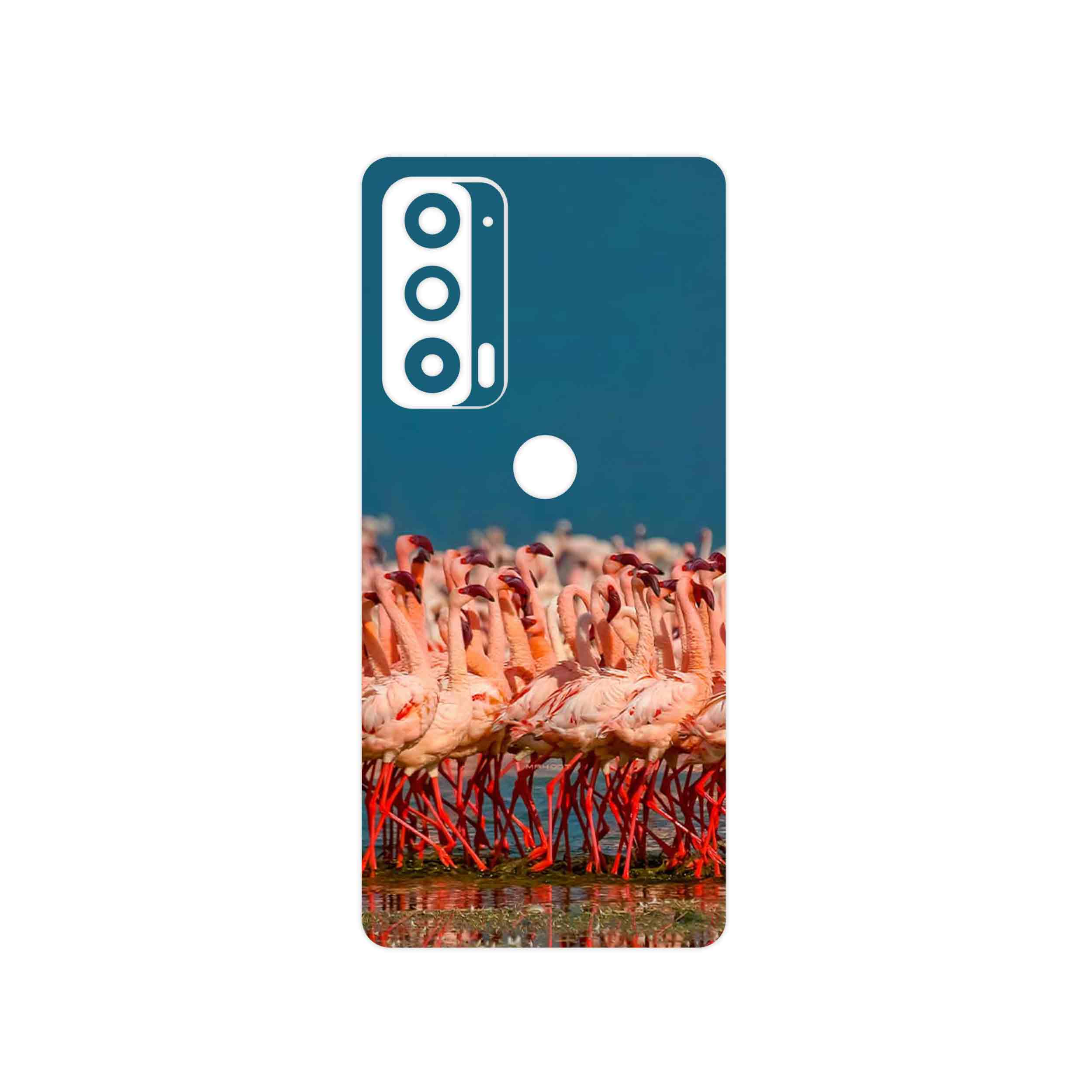 برچسب پوششی ماهوت مدل Flamingo مناسب برای گوشی موبایل موتورولا Edge 20
