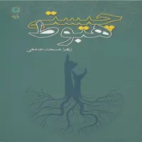 کتاب چیستی هبوط اثر زهرا مسجدجامعی انتشارات پازینه