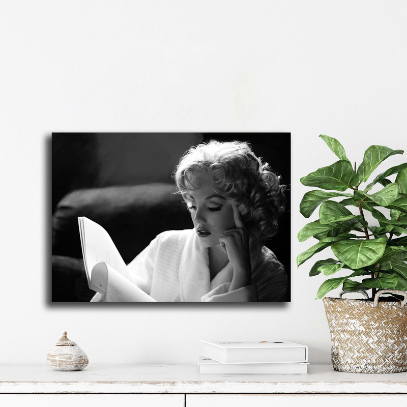 تابلو شاسی دنیای قاب مدل مرلین مونرو | دنیای قاب