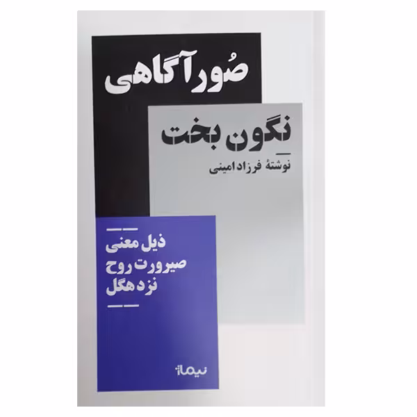 کتاب صور آگاهی نگون بخت اثر فرزاد امینی نشر نیماژ