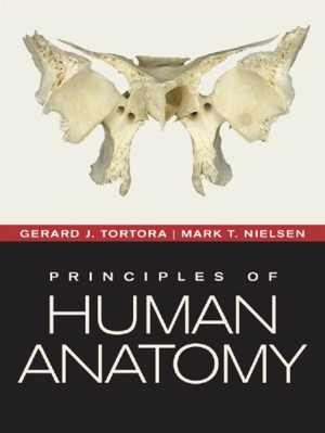 [PDF] دانلود کتاب Principles Of Human Anatomy, 12th ed, 2012
