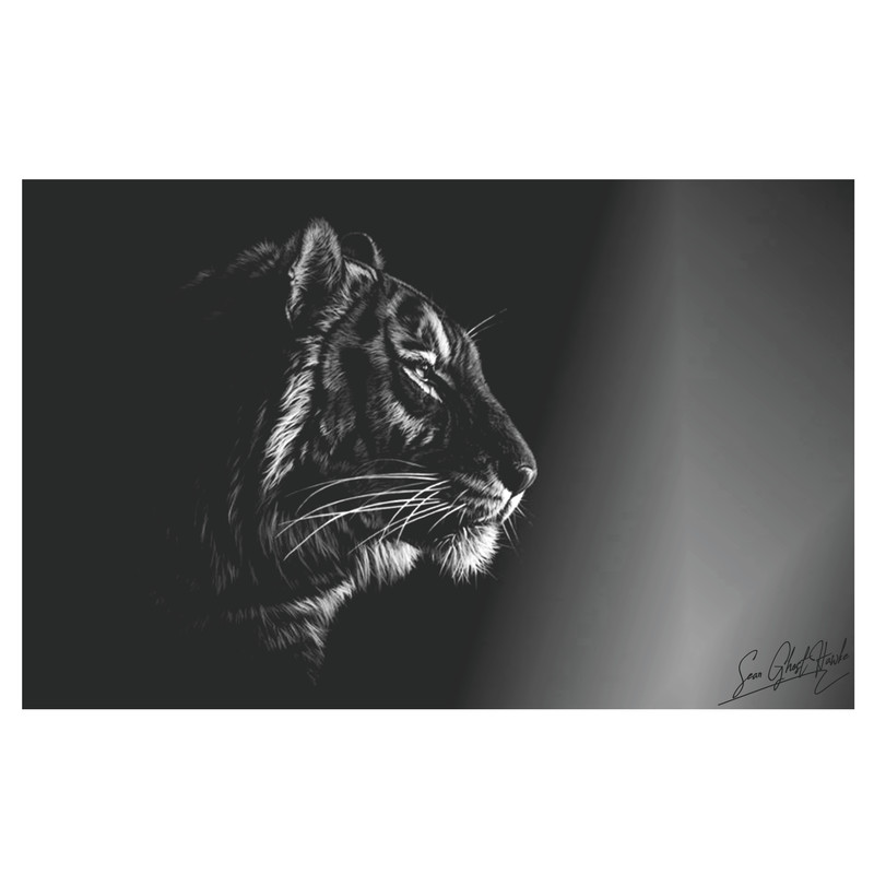 تابلو شاسی مدل سایه روشن | دنیای قاب