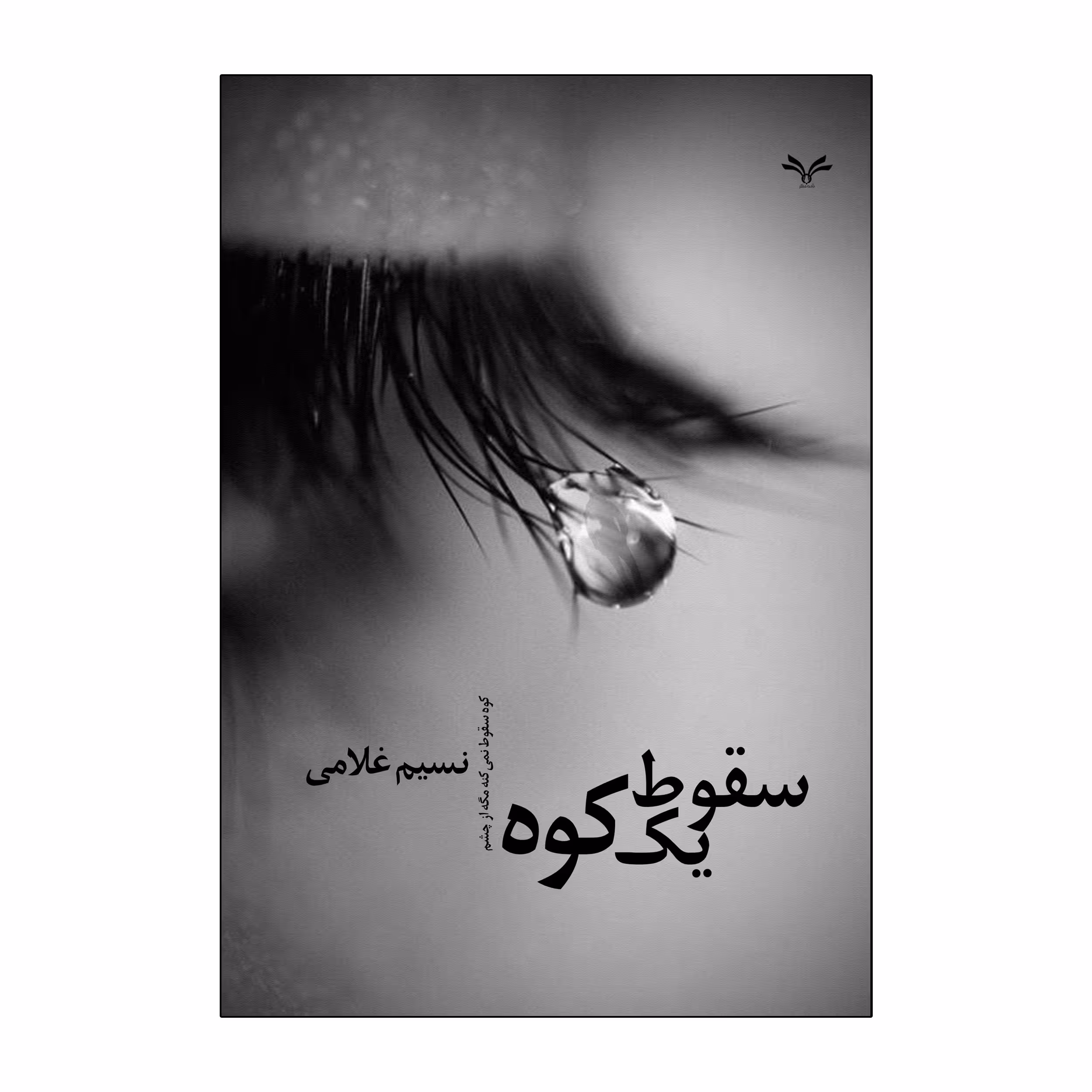 کتاب سقوط یک کوه اثر نسیم غلامی انتشارات نامه مهر 