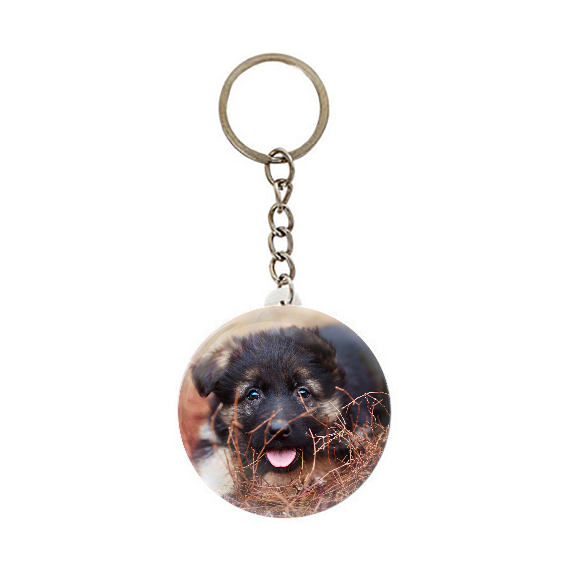 جاکلیدی عرش مدل سگ بامزه کد Asj1548