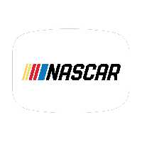 برچسب در باک خودرو توییجین و موییجین طرح Nascar کد 501