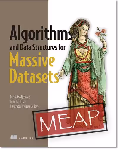 خرید و دانلود نسخه کامل کتاب Algorithms and Data Structures for Massive Datasets