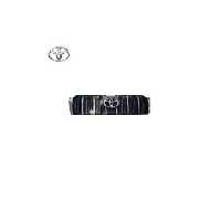 جلو پنجره پرادو