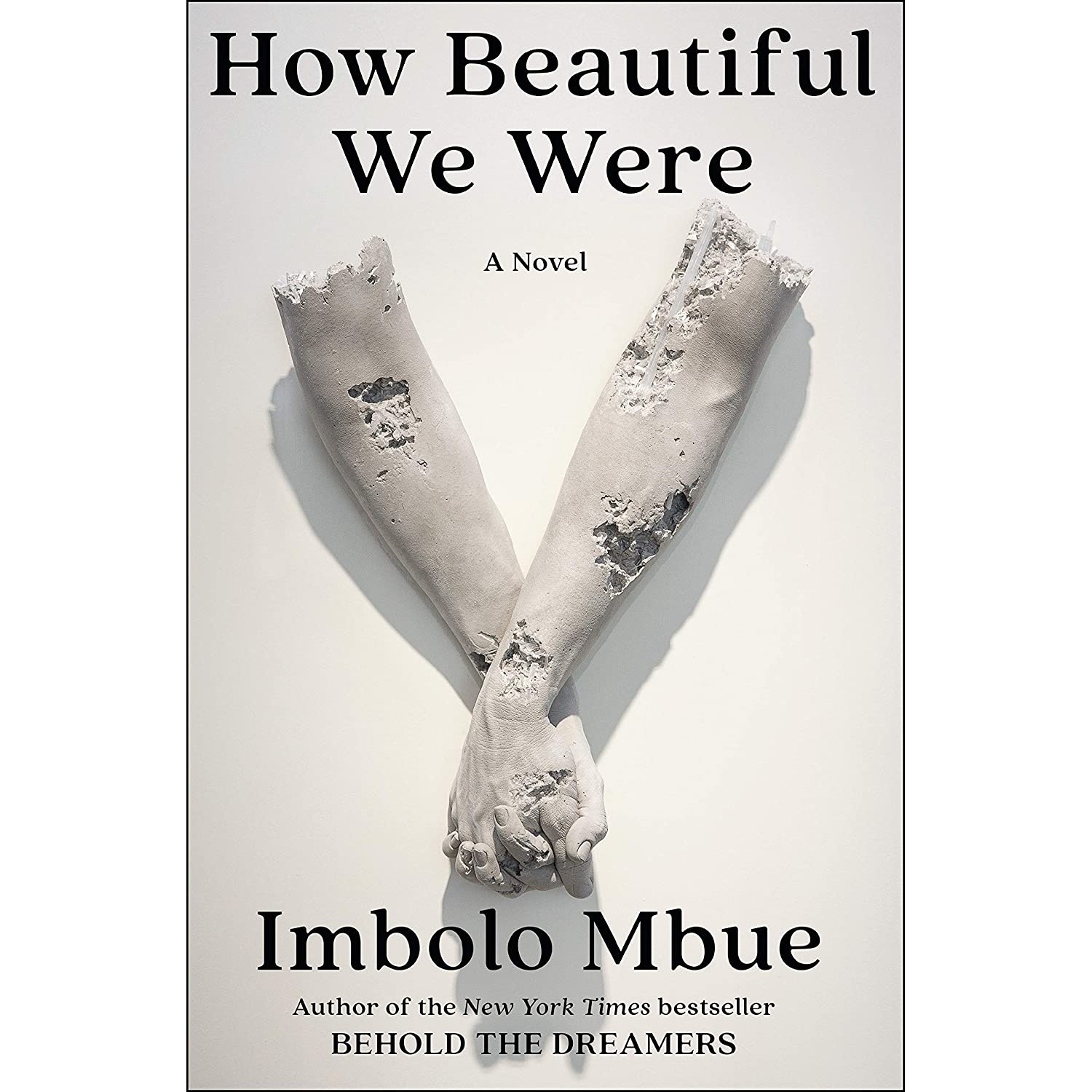 کتاب How Beautiful We Were: A Novel- 2021 اثر Imbolo Mbue انتشارات Random House