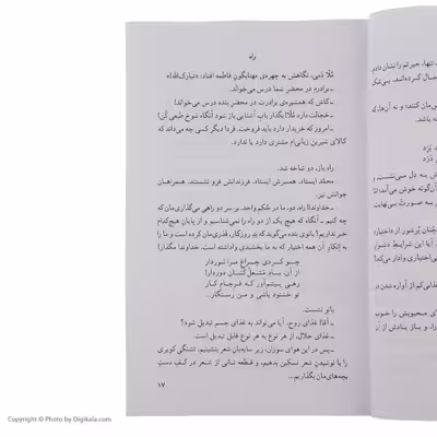 کتاب مردی در تبعید ابدی اثر نادر ابراهیمی نشر روزبهان
