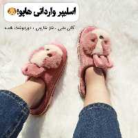 اسلیپر وارداتی هاپو