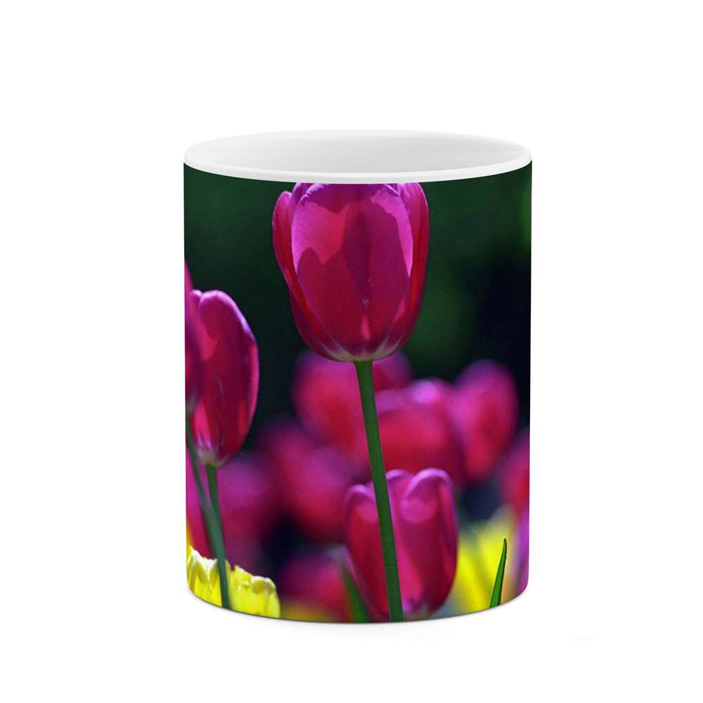 ماگ طرح گل مدل mgs12007